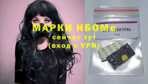 твердый Кулебаки