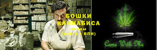 прущие грибы Лабытнанги