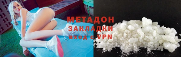 прущие грибы Лабытнанги