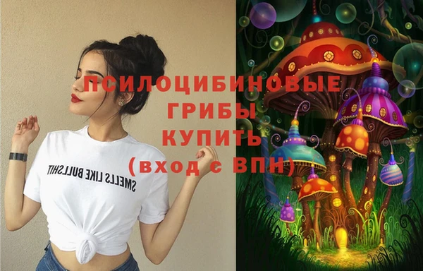 твердый Кулебаки