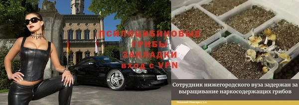 a pvp Кукмор