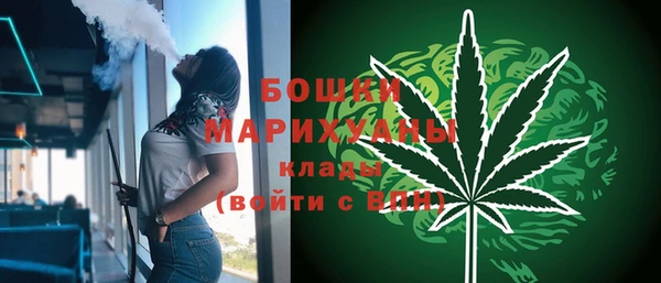 твердый Кулебаки
