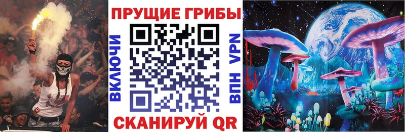 Купить  Бодайбо  Псилоцибиновые грибы MAGIC MUSHROOMS 